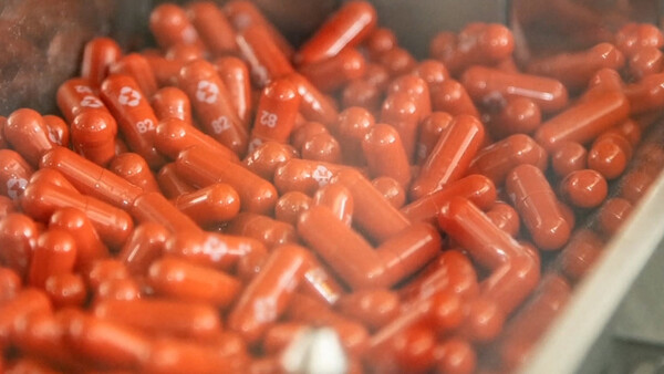 정부가 먹는 코로나19 치료제를 내년 2월부터 도입한다고 밝혔다. 사진=연합뉴스