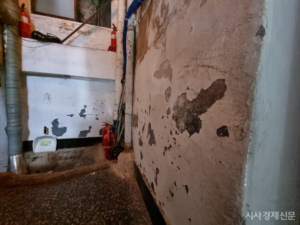 동자동 쪽방촌의 한 건물벽에 곰팡이가 피어 있는 모습 ​​​​​​​사진=박영신 기자