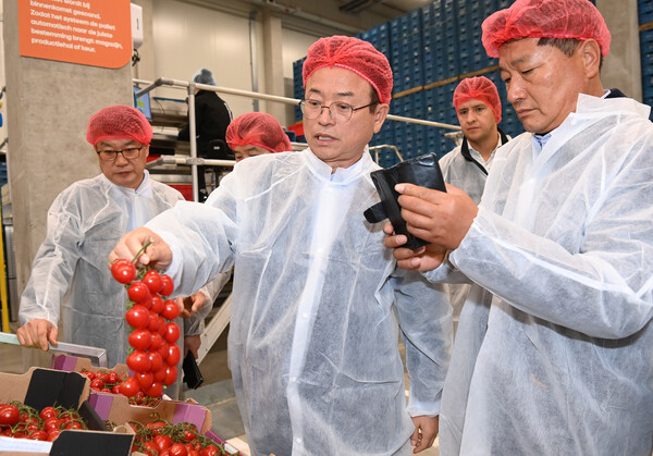 이철우 경북도지사 네덜란드 마스다이크에 소재한 토마토 농산물유통센터(APC) 방문 모습.사진=경북도청