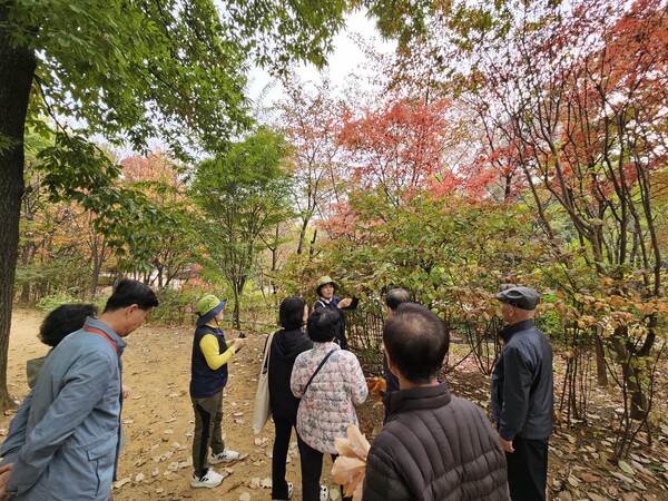 송파구가 (사)숲생태지도자협회와 협력으로 ‘맞춤형 산림치유’ 프로그램을 운영한다. 사진=송파구
