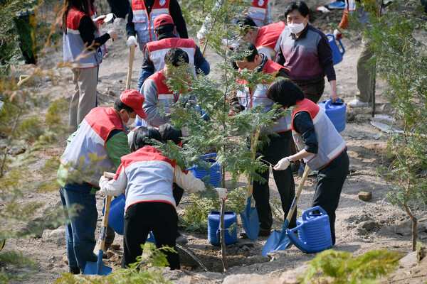 지난해 3월 서대문구 홍제동 인왕산에서 주민과 공무원들이 나무를 심고 있다. 사진=서대문구