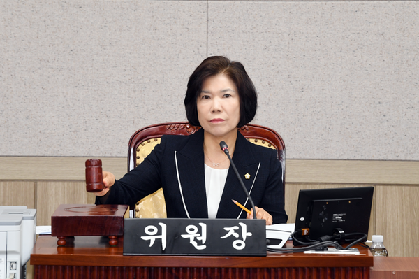 예산결산특별위원회 이순우 위원장. 사진=영등포구의회