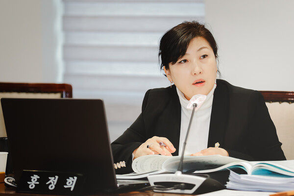 서대문구의회 홍정희 의원이 소아·청소년 당뇨병 환자들을 좀 더 체계적으로 관리 지원하고자 새롭게 조례를 만들었. 사진=서대문구의회