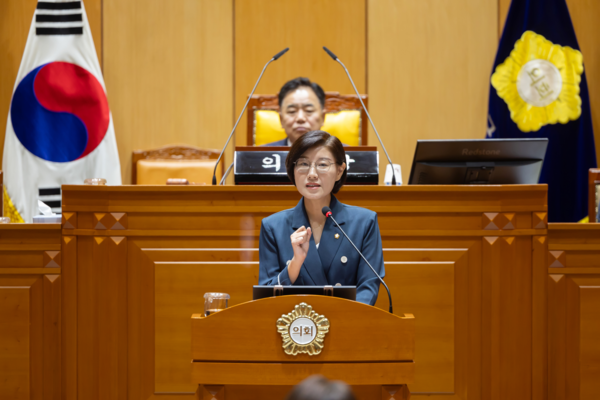 구로구의회 김미주 의원이 개봉1동 '침수ㆍ교통안전' 대책 마련을 촉구했다. 사진=김미주 의원