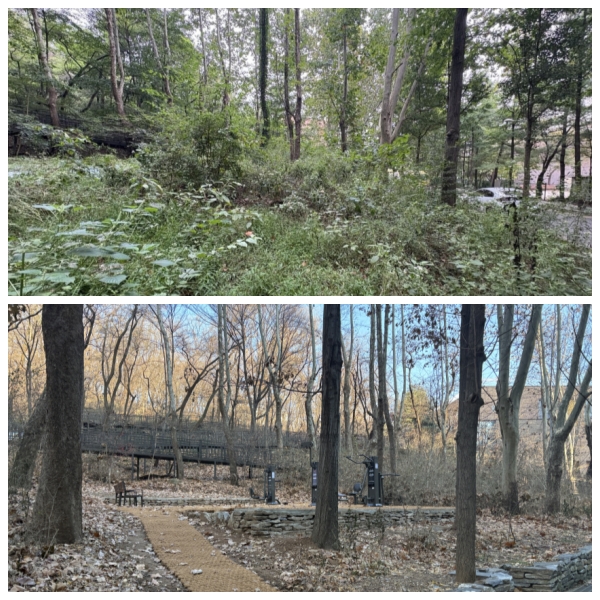  양천구 신정3동 신트리1단지 아파트 인근 계남근린공원이 주민들을 위한 쾌적한 휴식 및 운동 공간으로 탈바꿈했다. 조성 전 후 모습. 사진=최혜숙 의원